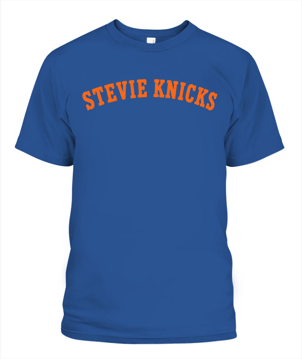 Stevie Knicks Taylor Shirt